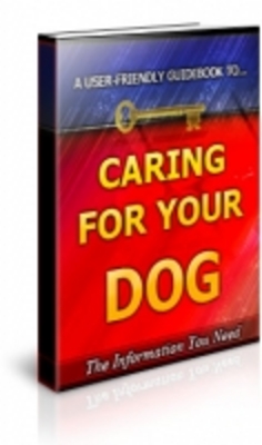 Product picture Caring For Your Dog with PLR 
